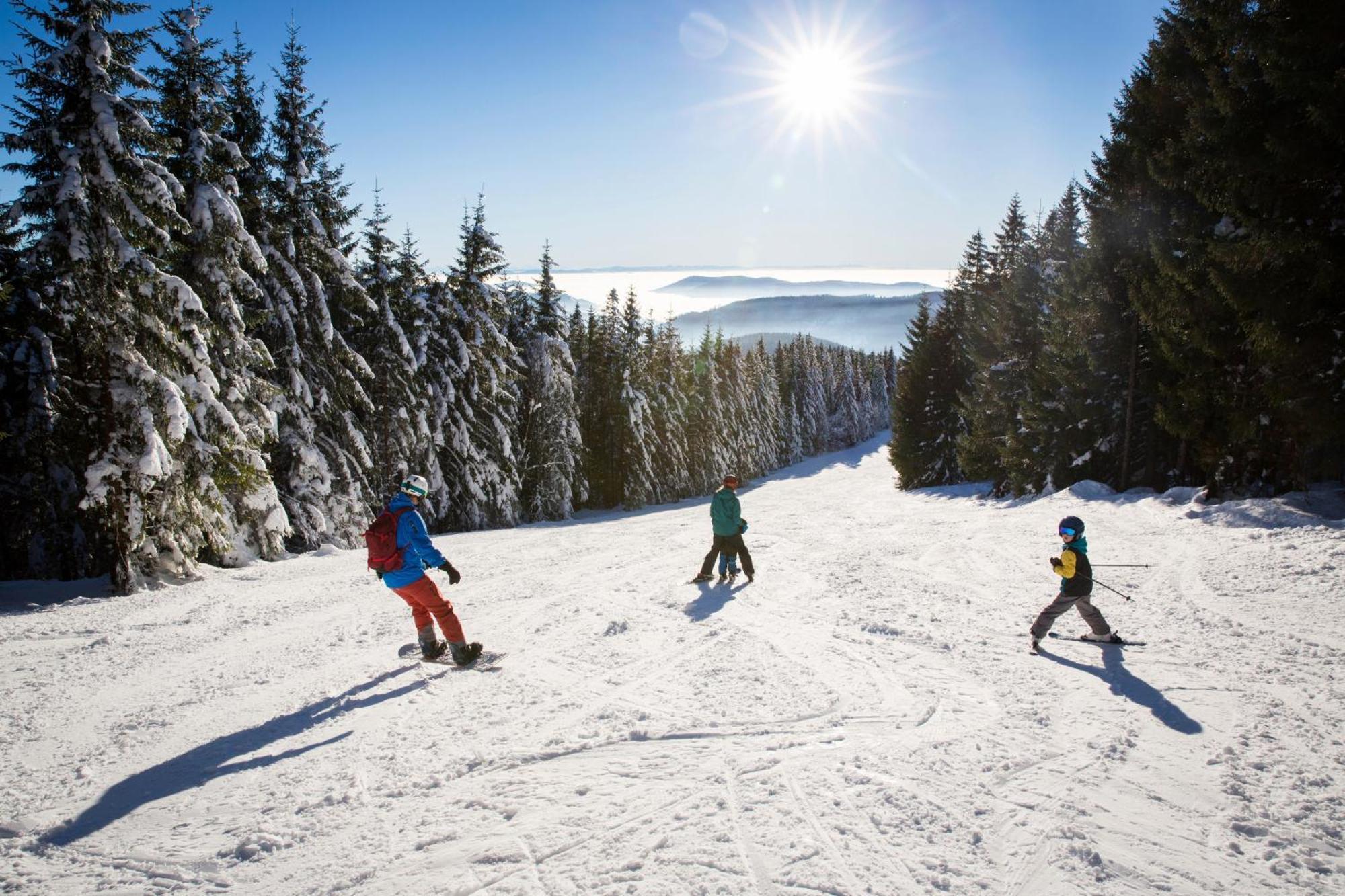 Drei Tannen - Wohnung 11 - Apartmenthaus, Titisee, Feldberg ภายนอก รูปภาพ