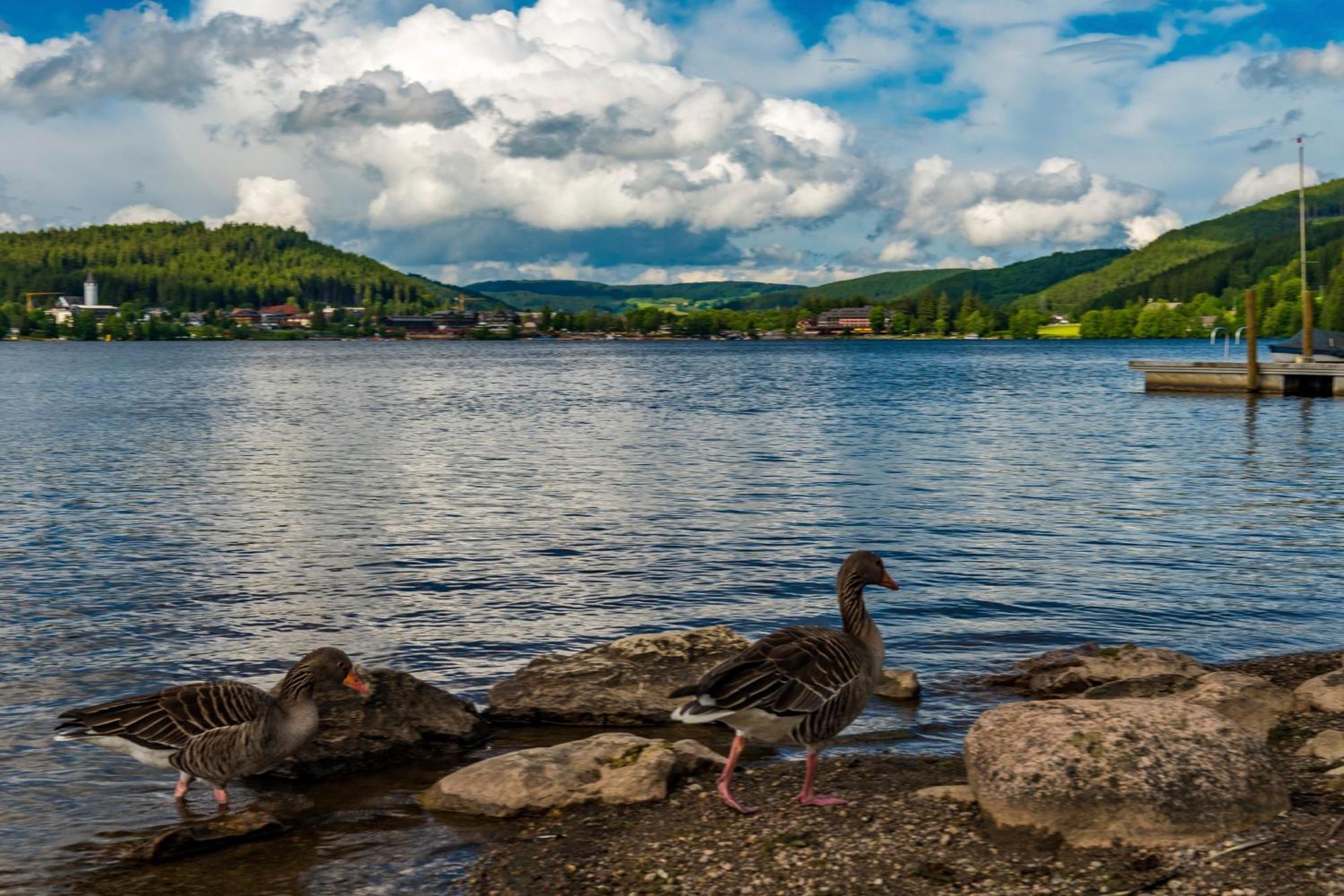 Drei Tannen - Wohnung 11 - Apartmenthaus, Titisee, Feldberg ภายนอก รูปภาพ